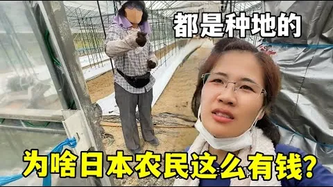 张帅连胜三场挺进32强，中国金花再展风采，郑钦明明日首战对决揭晓