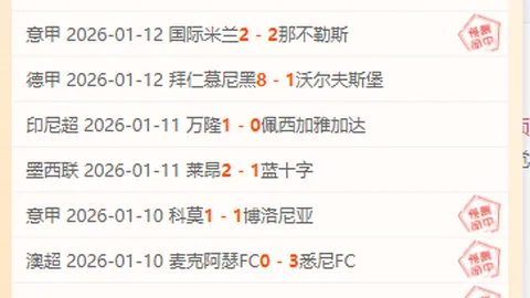 荷兰杯巅峰对决！揭秘：谁才是真正王者？